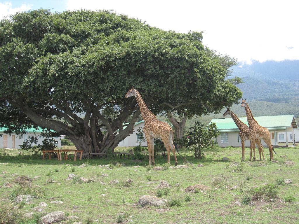 Nature Homes - Africa Amini Life Nkoanrua Bagian luar foto