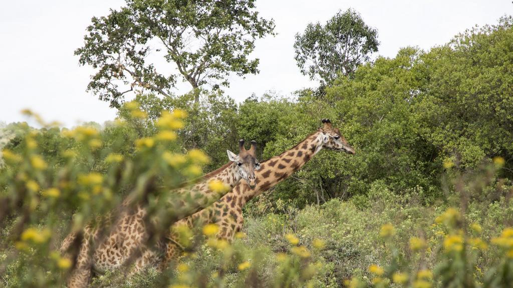 Nature Homes - Africa Amini Life Nkoanrua Bagian luar foto