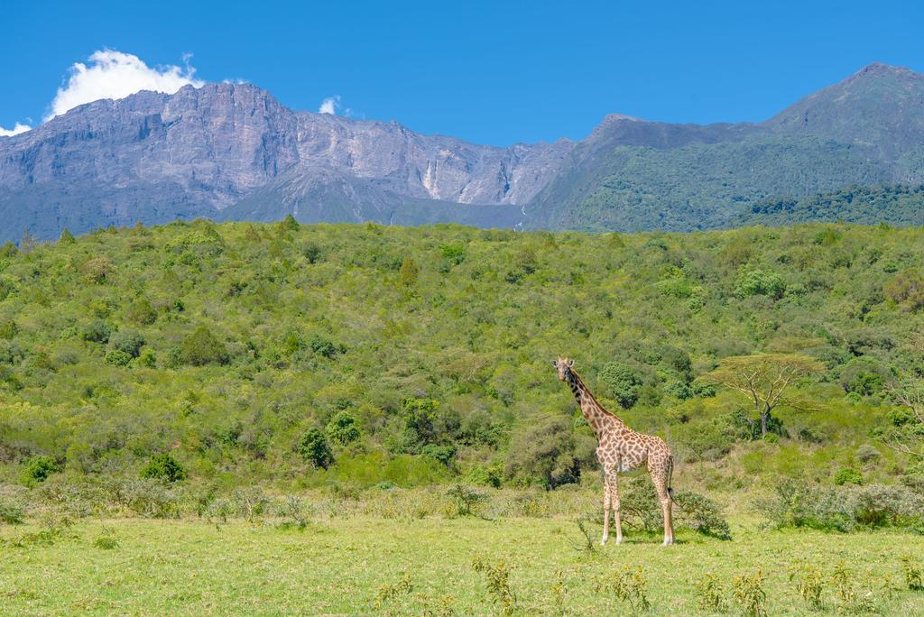 Nature Homes - Africa Amini Life Nkoanrua Bagian luar foto
