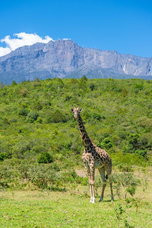 Nature Homes - Africa Amini Life Nkoanrua Bagian luar foto