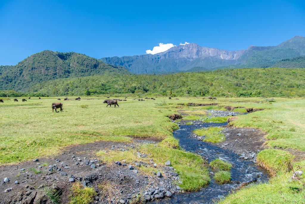 Nature Homes - Africa Amini Life Nkoanrua Bagian luar foto